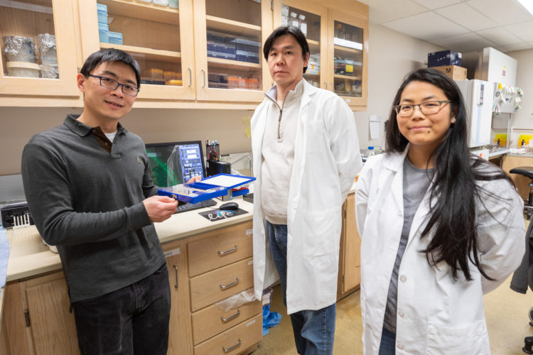 From left to right: Libin Xu with Acting Instructor Hideaki Tomita and MedChem PhD student Amy Li.