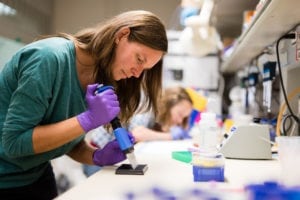 Hannah Baughman is a PhD student in Medicinal Chemistry, shown here working in the Nath Lab